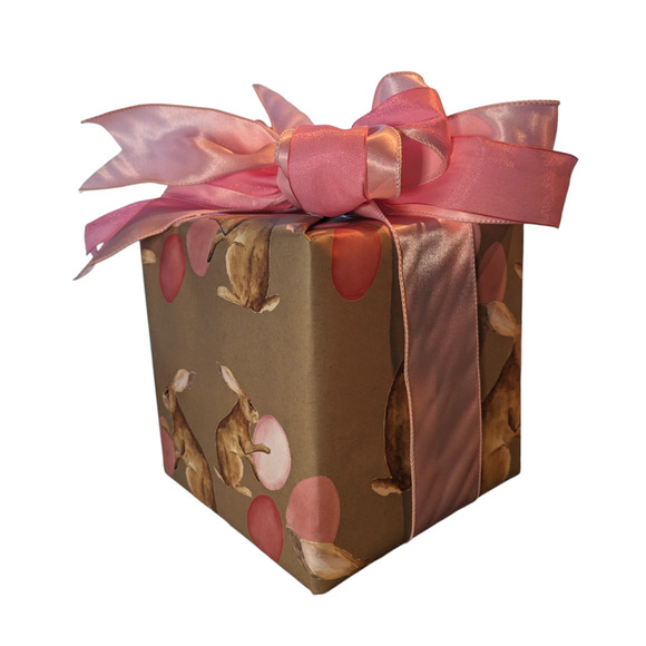Rae Dunn STORE Lidded Jar - Gift Wrapped! - Picture 5 of 5